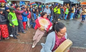 Salinas de Bolivar _Festival del queso