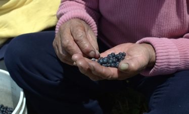 EL SALINERITO VIAJES