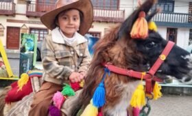 Salinerito te invita a vivir una experiencia inolvidable Durante el recorrido, podrás montar en una llama guiada por miembros de la comunidad local, quienes trabajan de la mano con el equipo de Tour Salinerito para ofrecer una experiencia segura y enriquecedora. Los turistas disfrutan del contacto directo con estos animales nobles y tranquilos, ideales para compartir momentos únicos y tomarse fotos memorables.