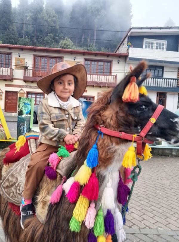 Salinerito te invita a vivir una experiencia inolvidable Durante el recorrido, podrás montar en una llama guiada por miembros de la comunidad local, quienes trabajan de la mano con el equipo de Tour Salinerito para ofrecer una experiencia segura y enriquecedora. Los turistas disfrutan del contacto directo con estos animales nobles y tranquilos, ideales para compartir momentos únicos y tomarse fotos memorables.