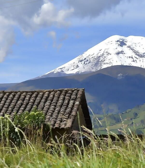 FB_IMG_1755729712882