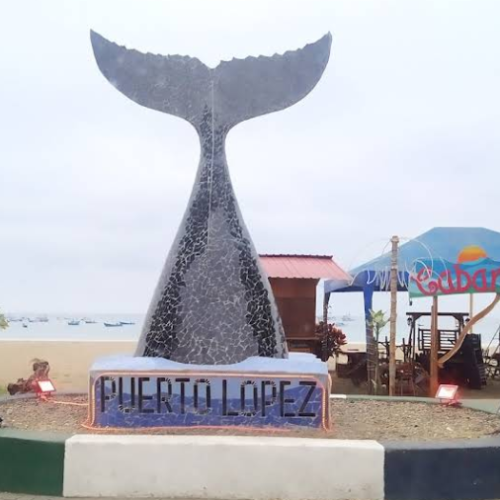 Tour Puerto López e Isla de la Plata
