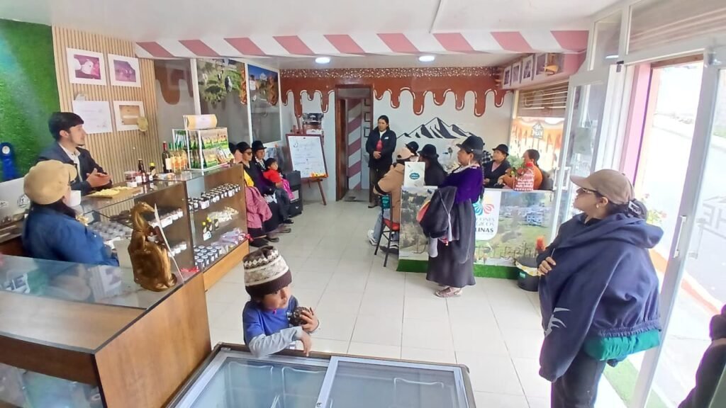 Mashe: tradición, innovación y desarrollo desde Salinas de Guaranda