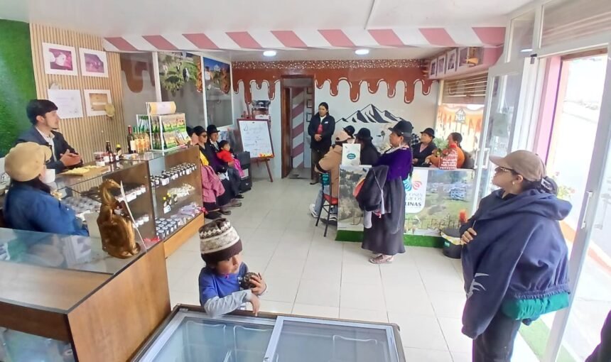 Mashe: tradición, innovación y desarrollo desde Salinas de Guaranda