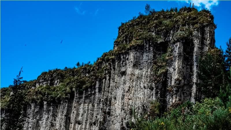 Farallones
