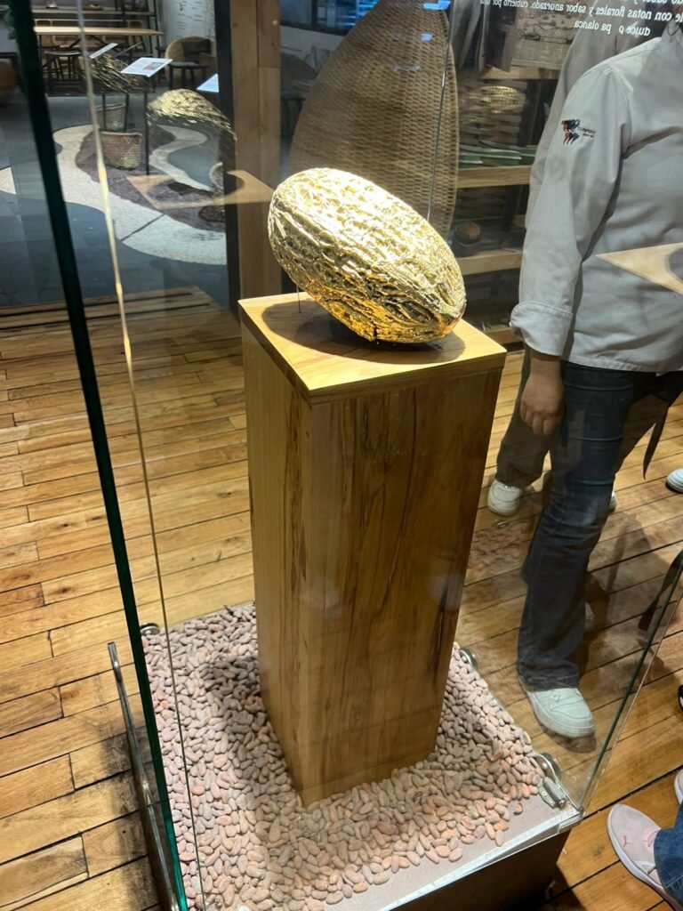 Estudiantes de la Universidad Nacional de Chimborazo junto al cacao de oro en República del Cacao, durante una gira académica organizada por Tour Salinerito.