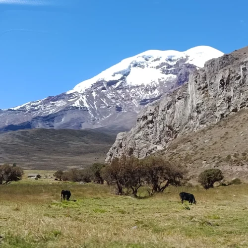 Tour al Chimborazo desde Ambato