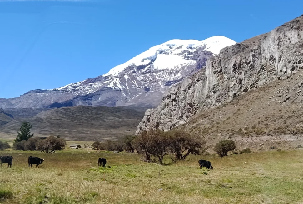 Tour al Chimborazo desde Ambato