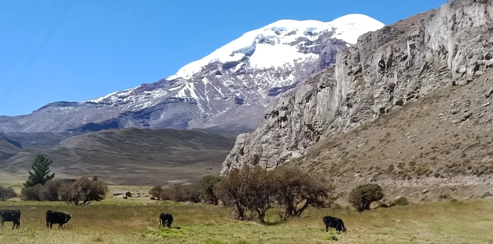 Tour al Chimborazo desde Ambato